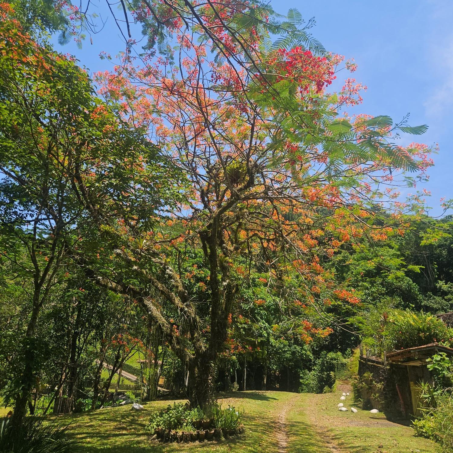 Sitio Cristo Redentor Villa Гуапимирим Екстериор снимка